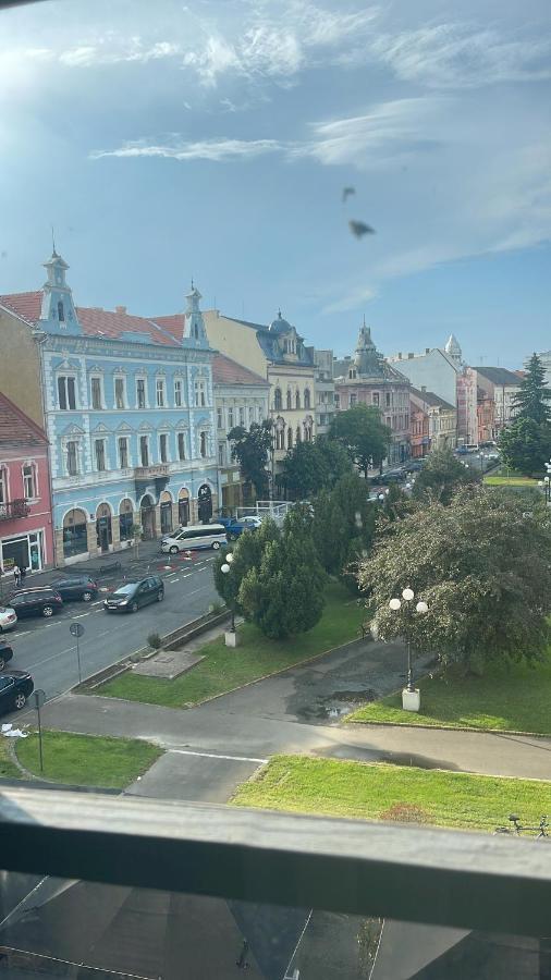 Cozyflat In The Central Arad Kültér fotó